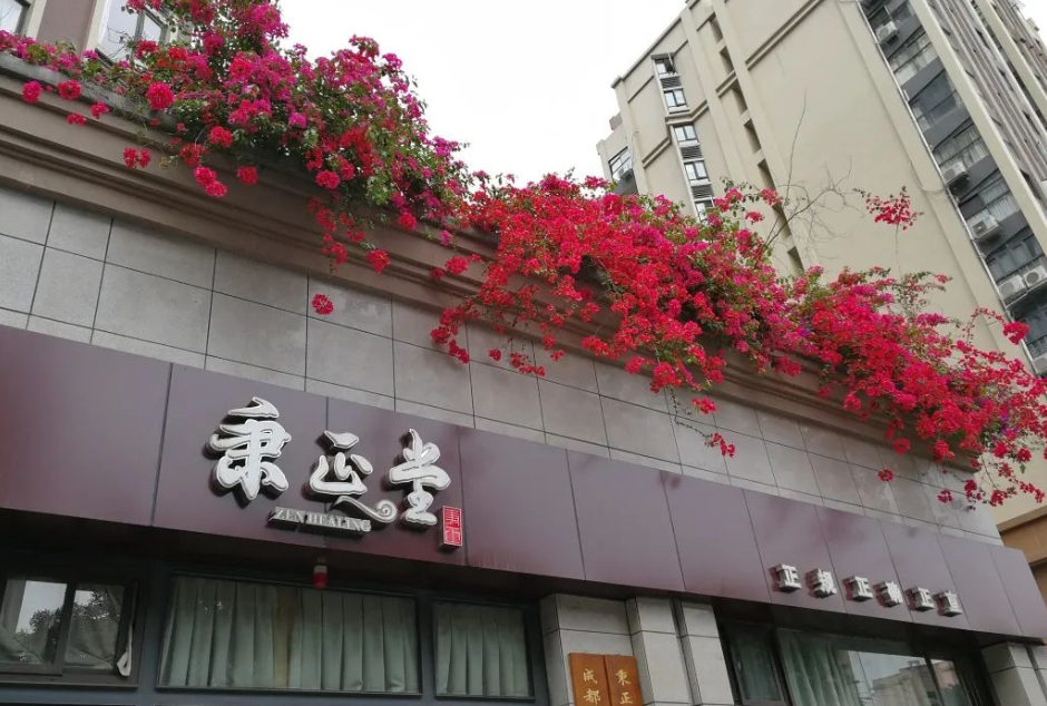 一个以学术研究为特色的中医馆，除了看病，还教患者怎样去生活